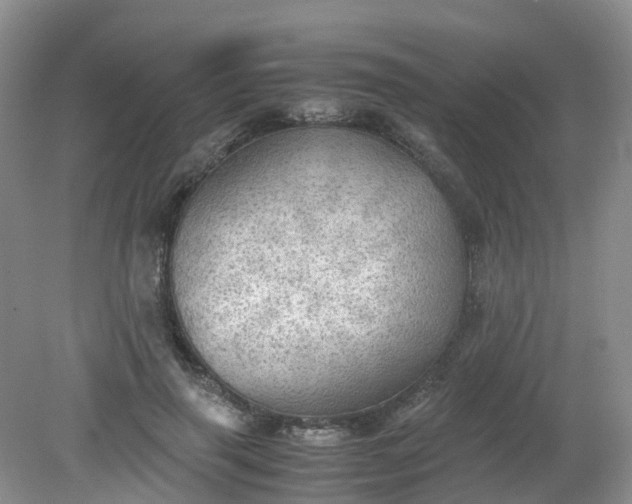 X0000079340645200612011935