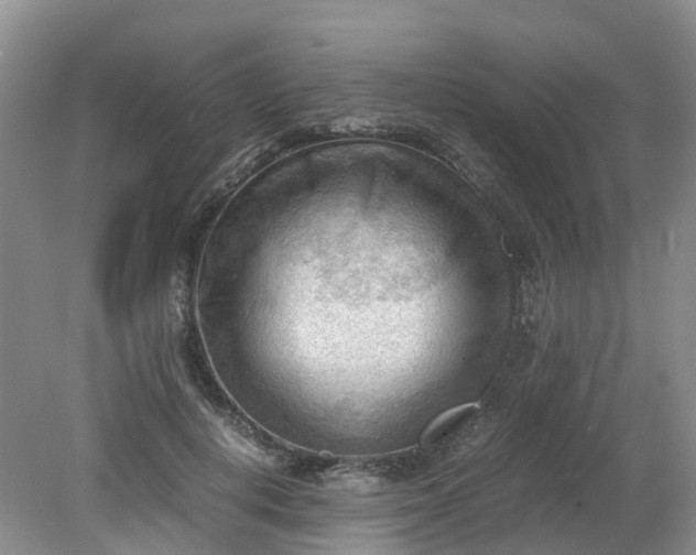 X0000079340648200612011935