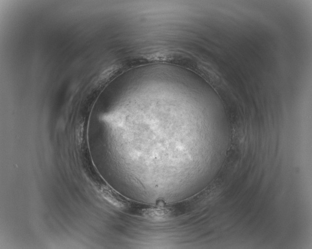 X0000079340652200612011935