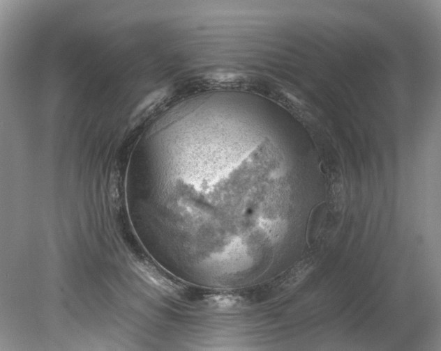 X0000079340654200612011935