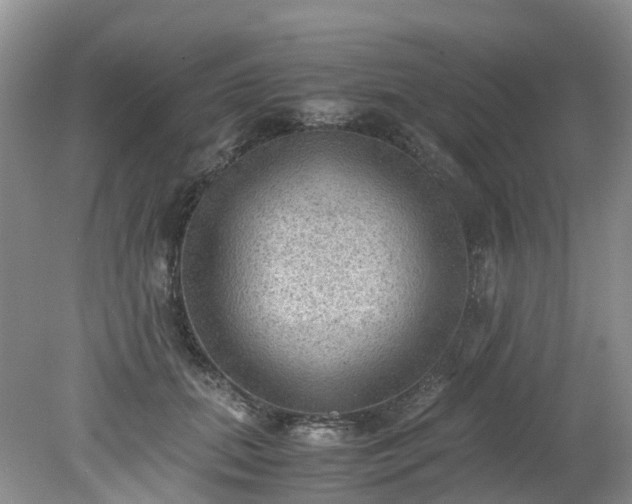 X0000079340655200612011935