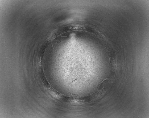 X0000079340657200612011935