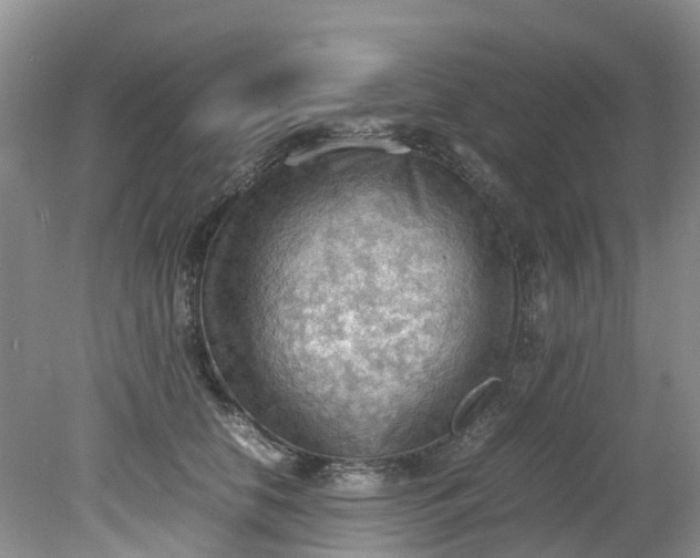 X0000079340658200612011935