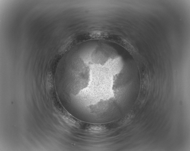 X0000079340659200612011935