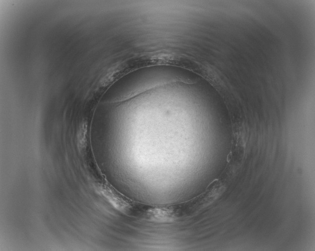 X0000079340660200612011935