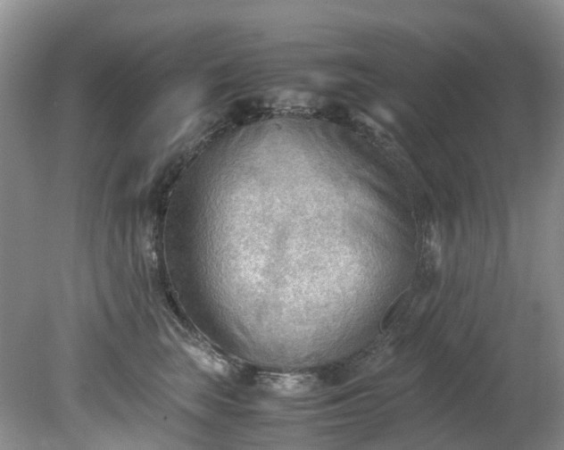 X0000079340663200612011935