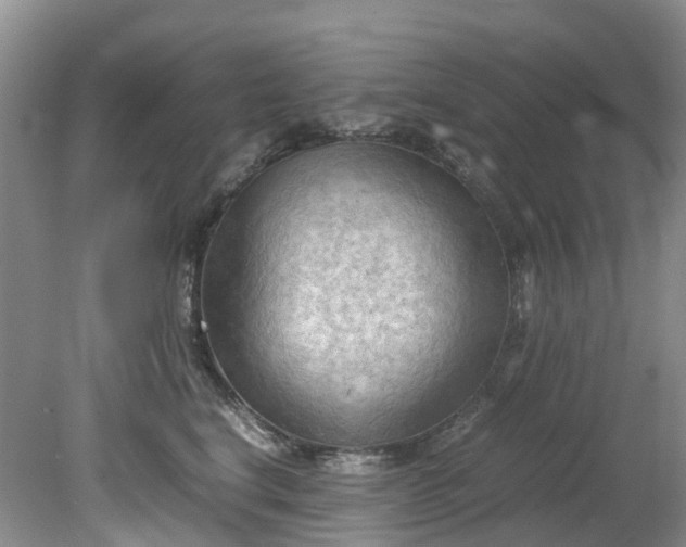 X0000079340664200612011935