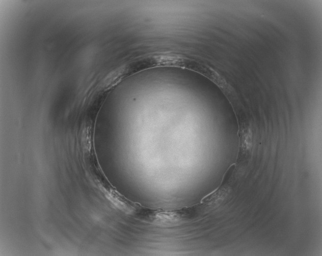 X0000079340666200612011935