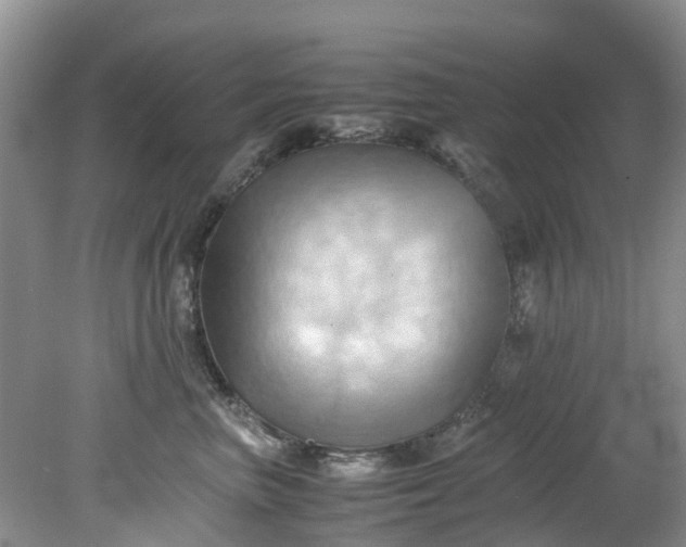 X0000079340667200612011935