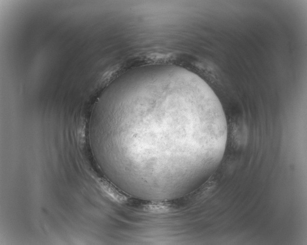 X0000079340668200612011935