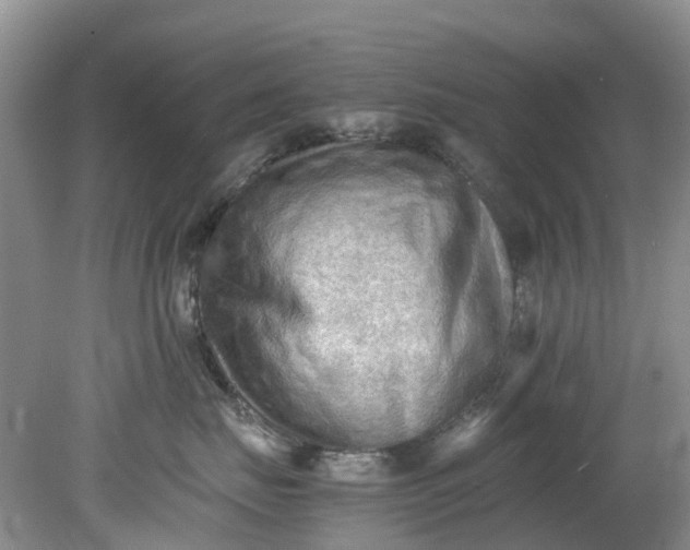 X0000079340671200612011935