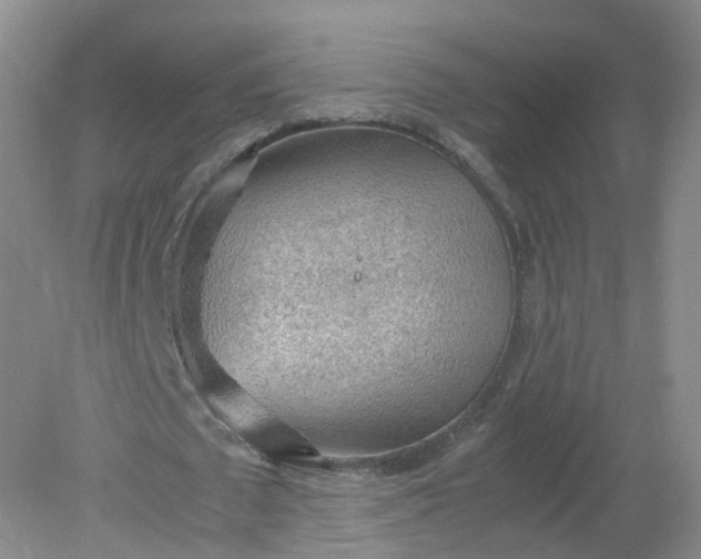 X0000079340673200612011934