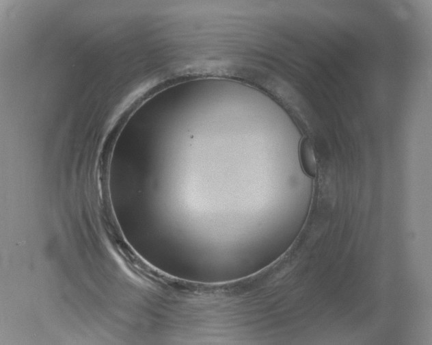 X0000079340674200612011934