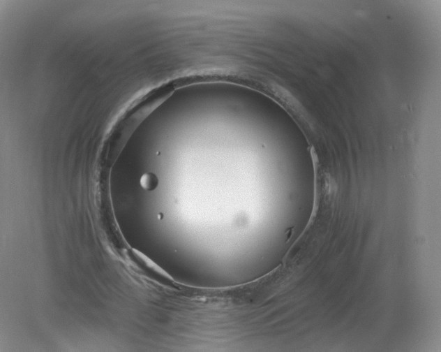 X0000079340676200612011934