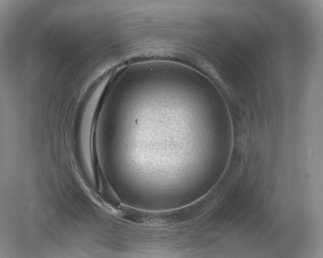 X0000079340677200612011934