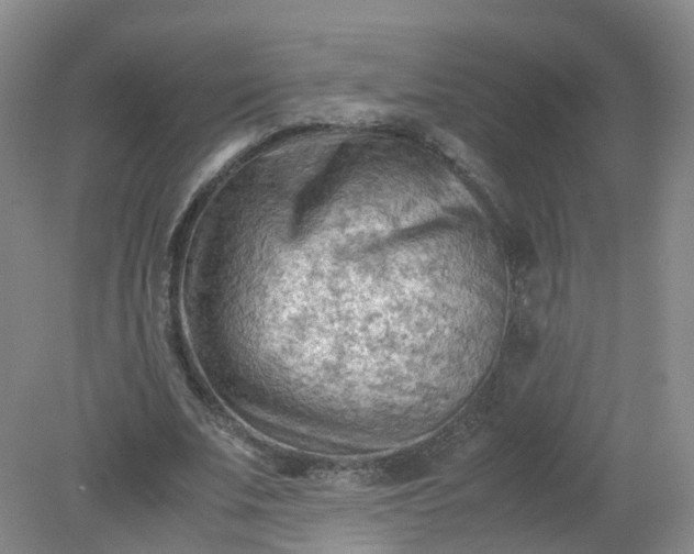 X0000079340679200612011934