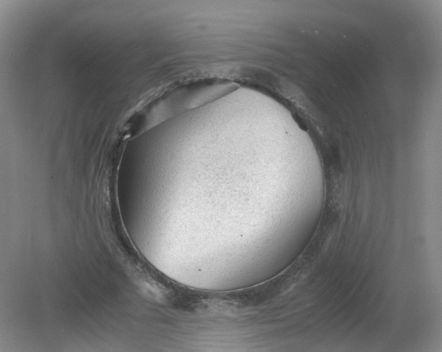 X0000079340681200612011934