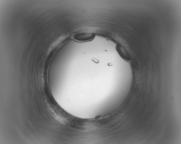 X0000079340682200612011934