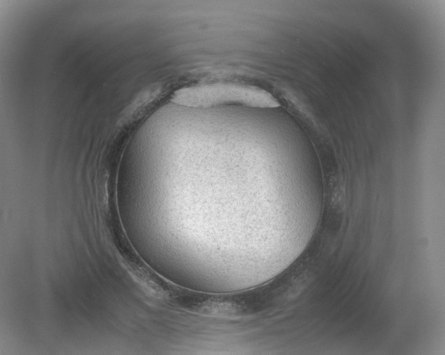 X0000079340685200612011934