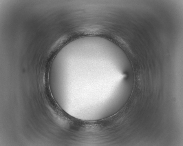 X0000079340686200612011934