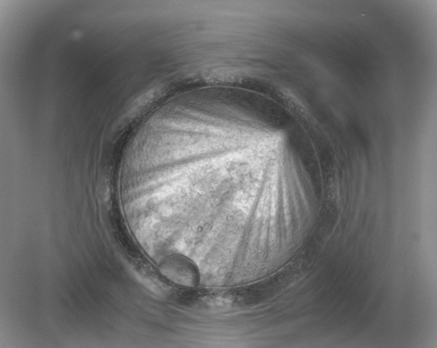 X0000079340687200612011934