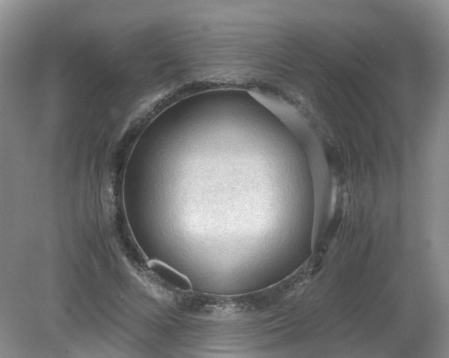 X0000079340688200612011934