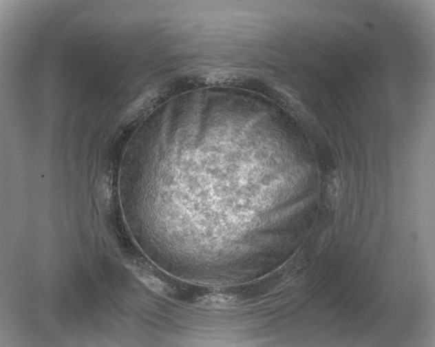 X0000079340691200612011934