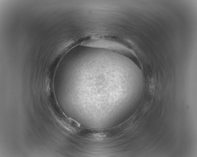 X0000079340692200612011934