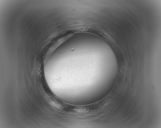 X0000079340693200612011934