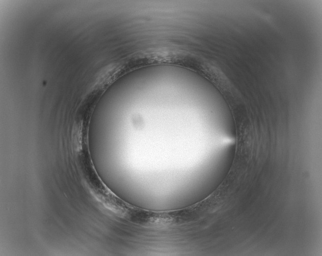 X0000079340694200612011934