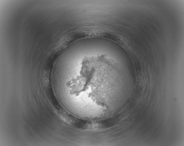 X0000079340695200612011934