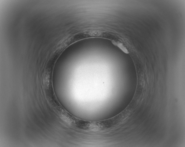 X0000079340697200612011934