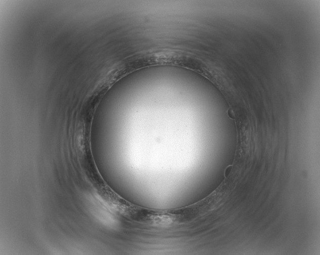 X0000079340698200612011934