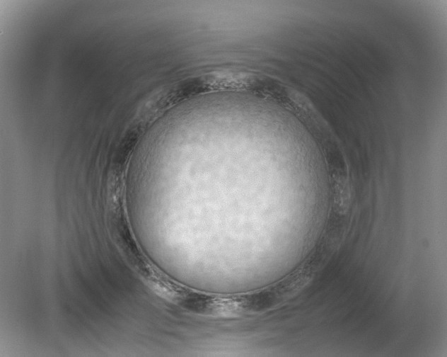 X0000079340701200612011934