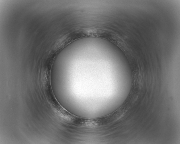 X0000079340702200612011934