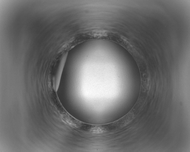 X0000079340704200612011934