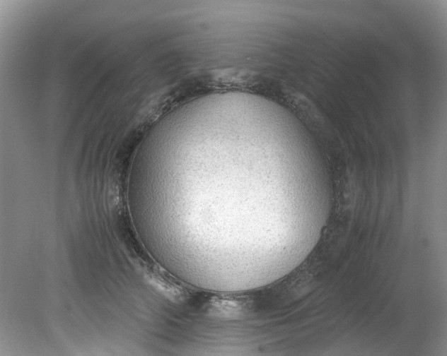 X0000079340706200612011934