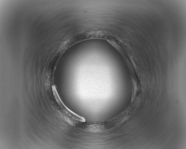 X0000079340708200612011934