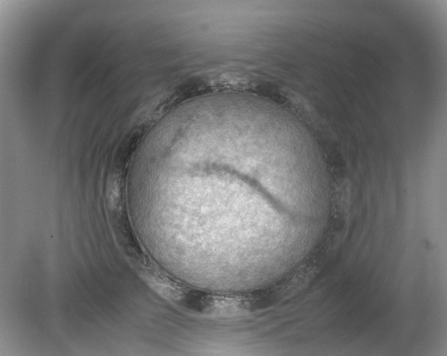 X0000079340709200612011934