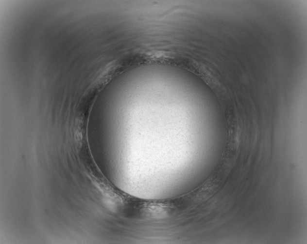 X0000079340710200612011934