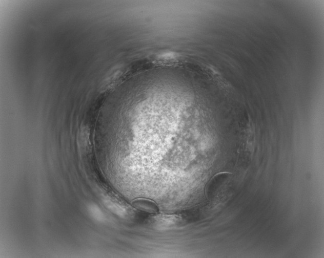 X0000079340711200612011934