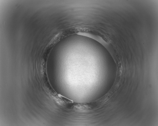 X0000079340712200612011934