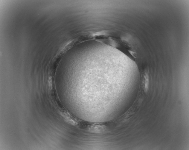 X0000079340716200612011934