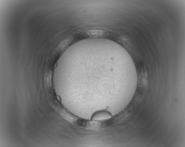 X0000079340717200612011934