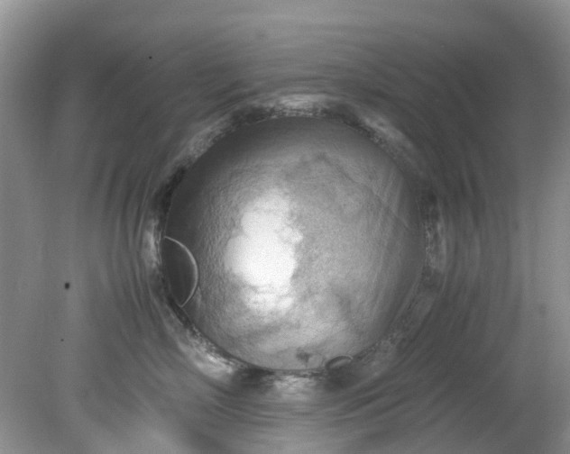 X0000079340718200612011934