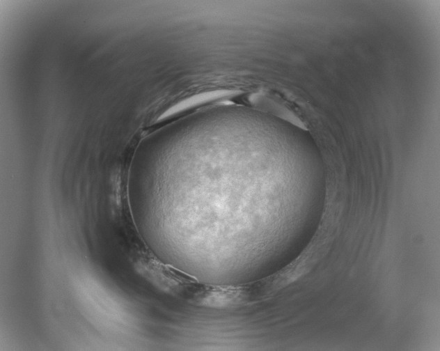 X0000079340720200612011934