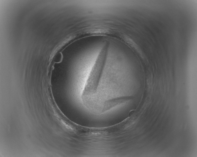 X0000079340721200612011933