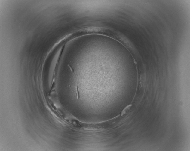 X0000079340722200612011933