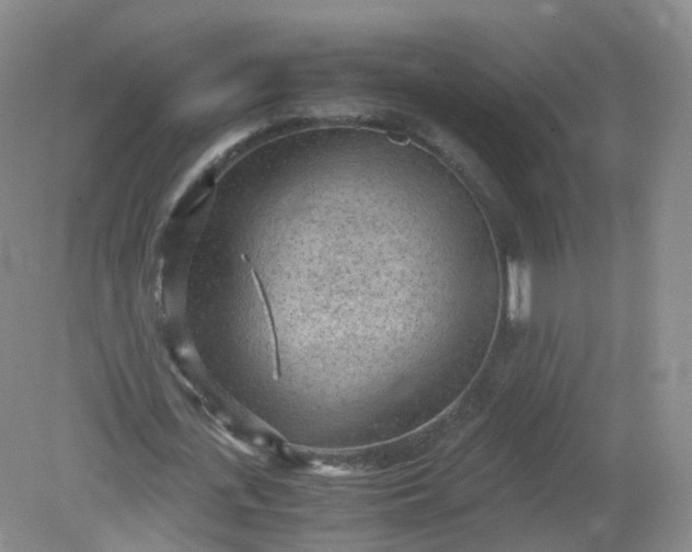 X0000079340723200612011933