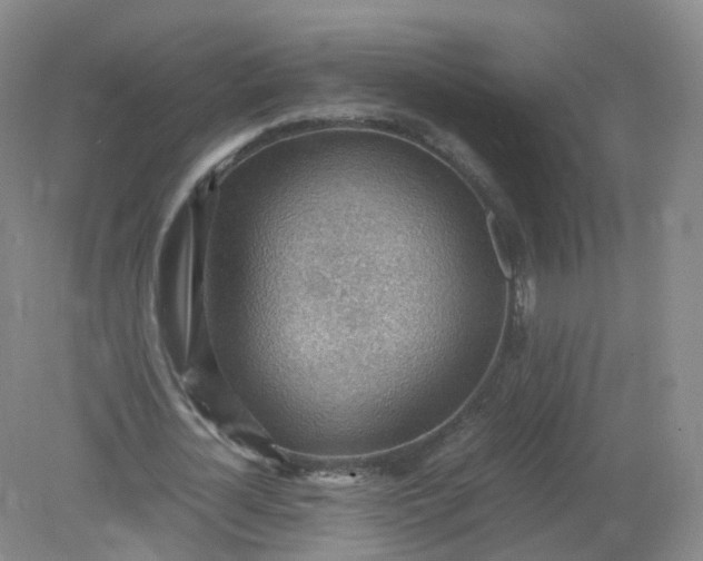 X0000079340724200612011933